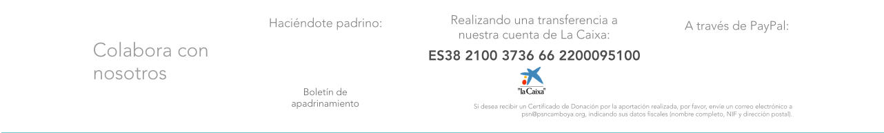 A travs de PayPal: Hacindote padrino: Boletn de apadrinamiento ES38 2100 3736 66 2200095100 Colabora con nosotros Realizando una transferencia a nuestra cuenta de La Caixa: Si desea recibir un Certificado de Donacin por la aportacin realizada, por favor, enve un correo electrnico a psn@psncamboya.org, indicando sus datos fiscales (nombre completo, NIF y direccin postal).